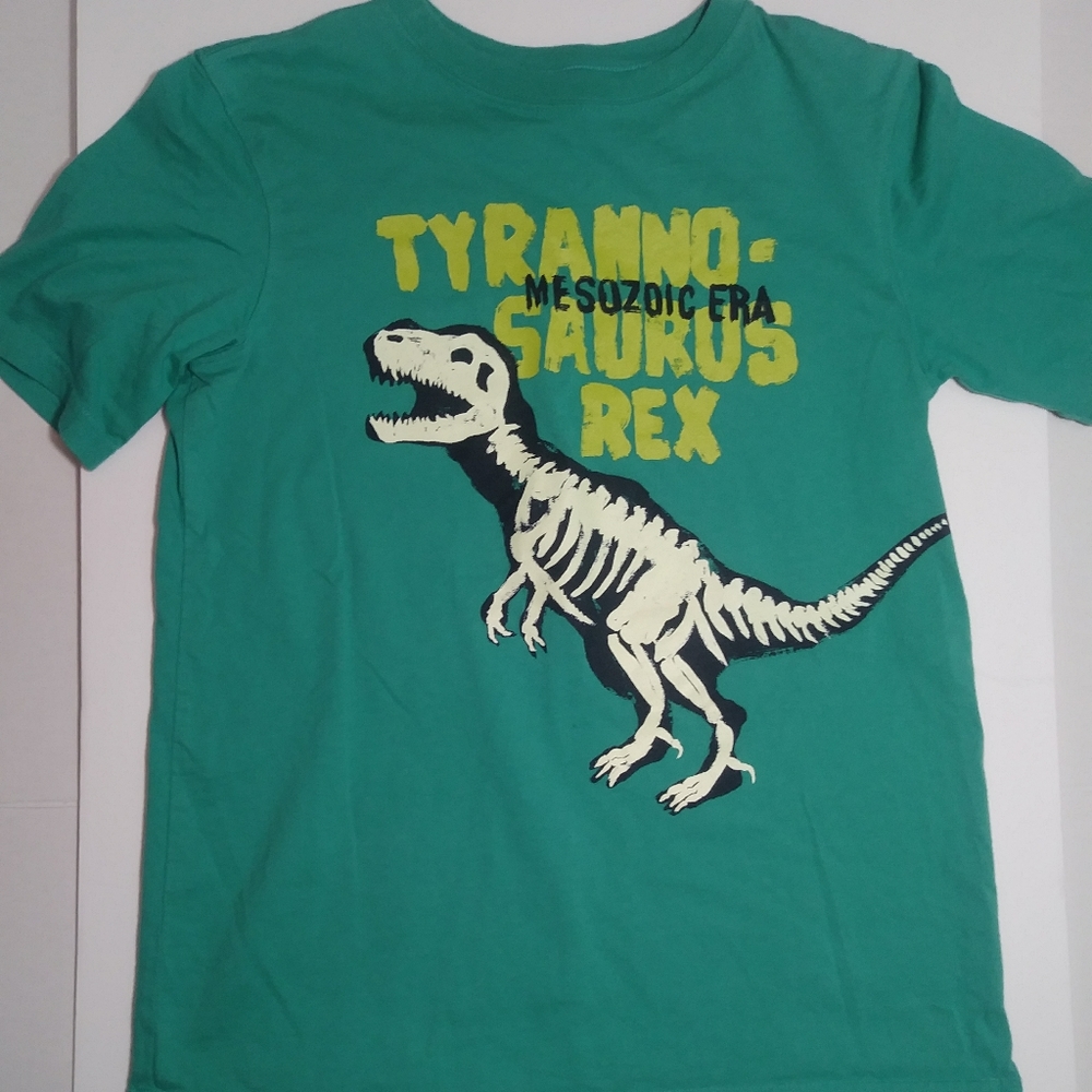 Lands End Boys M 10/12 T-rex Dinosaur Shirt
